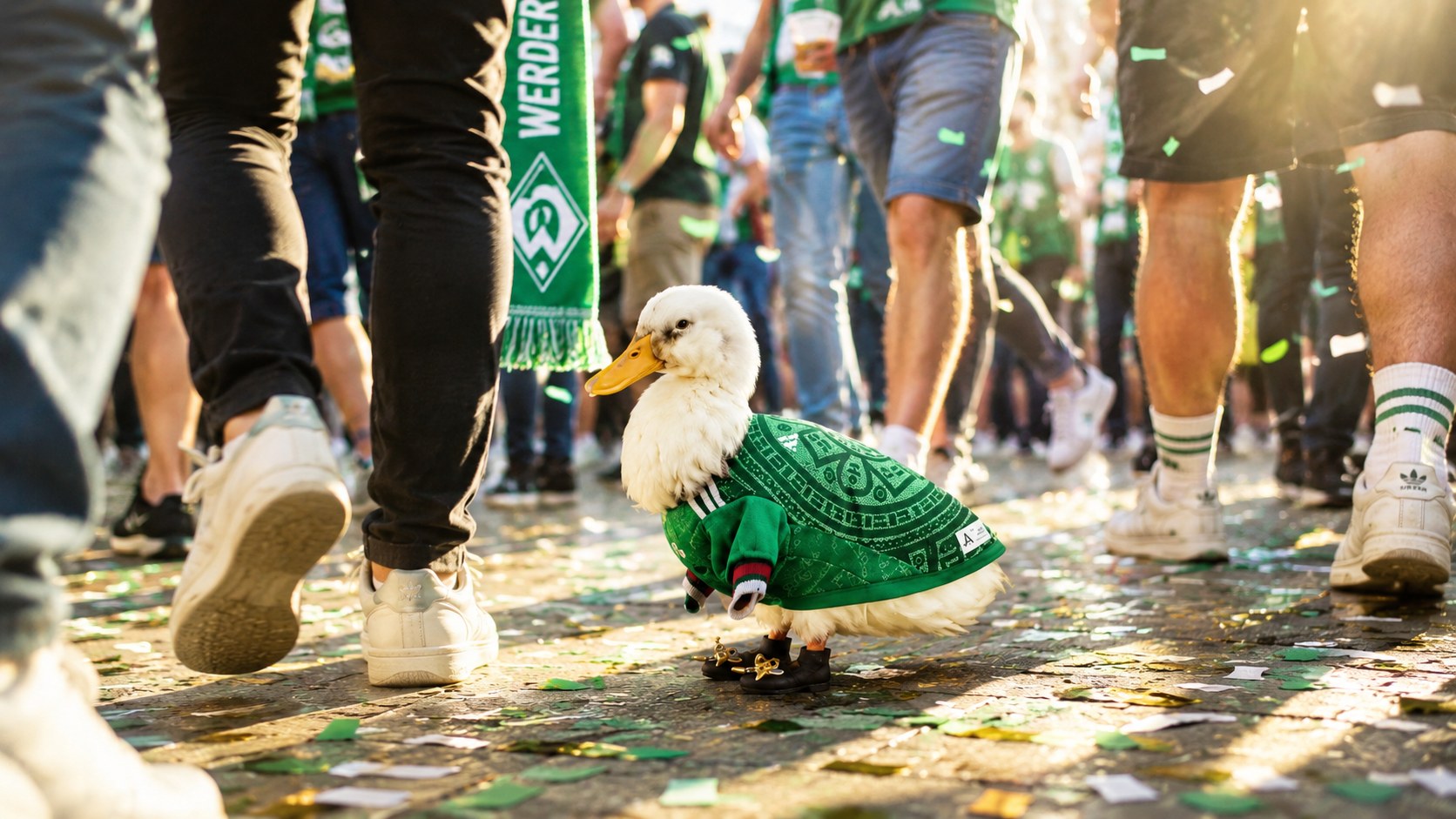 Merlín, el pato mundialista que conquistó México
